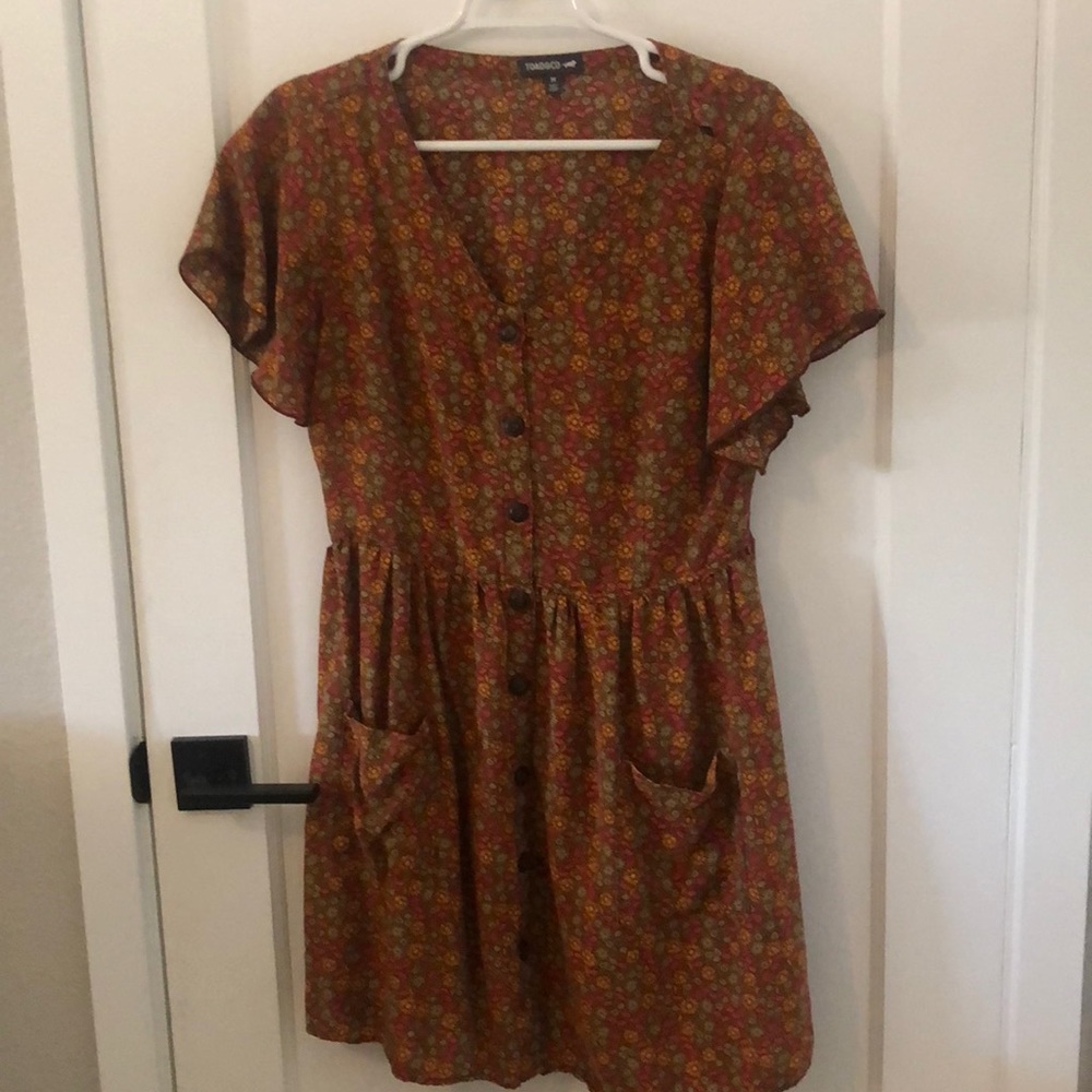 Toad & CO ethically sourced button down v neck dress